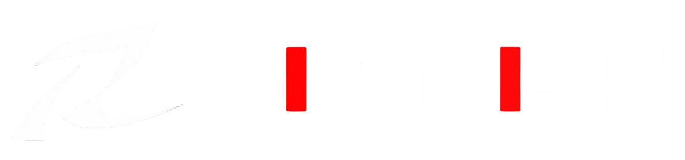 Bit Rise Logo